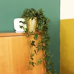 Choice Guest Appartement *