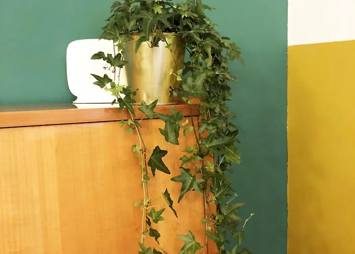 Choice Guest Appartement *